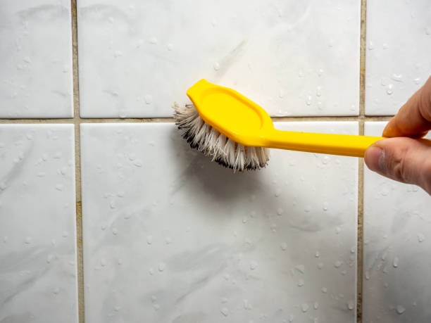 Best Commercial Mold Removal  in Broadview Heights, OH