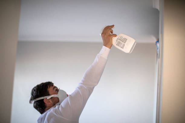 Best Mold Testing  in Broadview Heights, OH